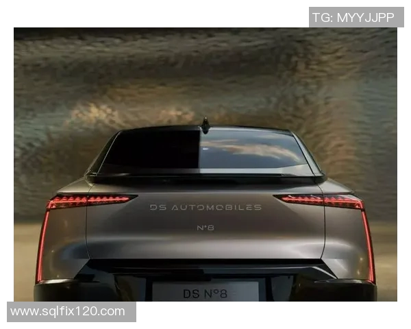 ds8比赛-赛程激扬斗志，DS8比赛的魅力与挑战-ds8比赛